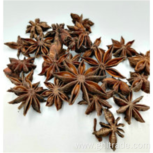 good price Dried Star Aniseed